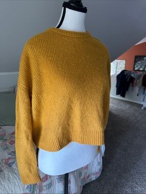 Divided Mustard Crewneck Cropped Sweater